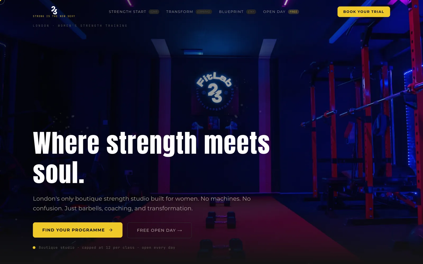FitLab23 · SHE LIFTS - Fitness · Women's Strength Training website by TitanStudio